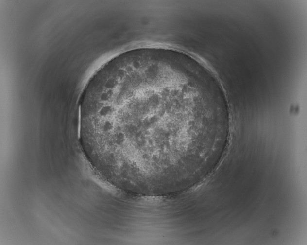 X0000114441223200911131508