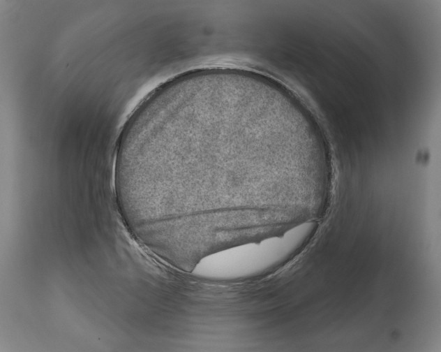 X0000114441224200911131508