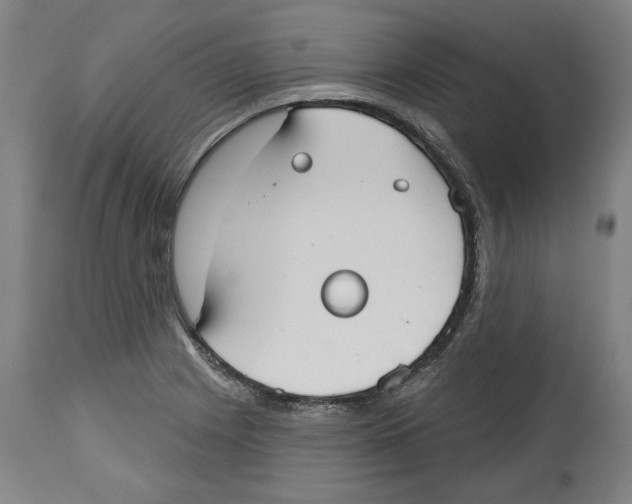 X0000114441225200911131508