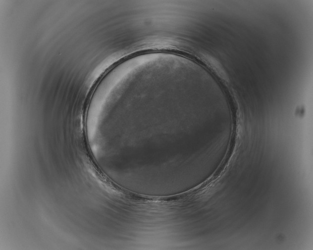 X0000114441226200911131508