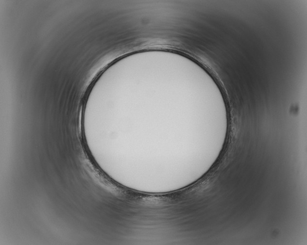 X0000114441227200911131508