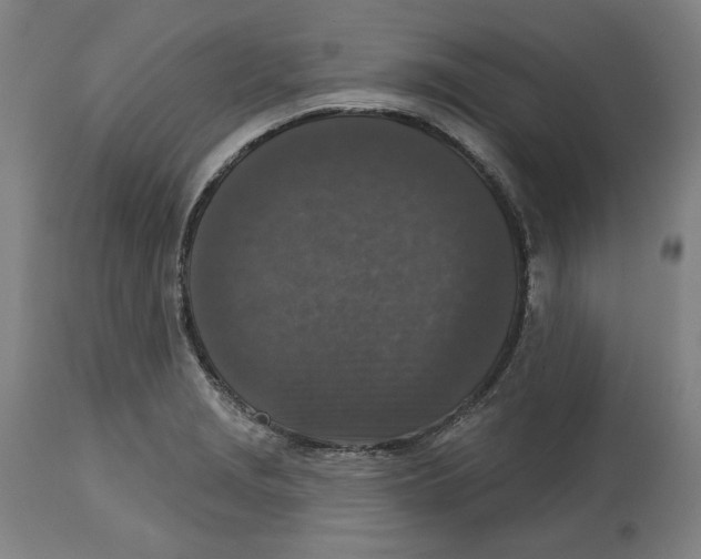 X0000114441229200911131508