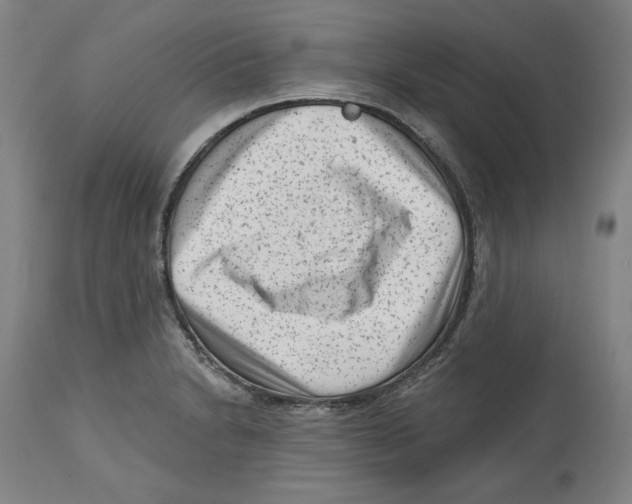 X0000114441230200911131508