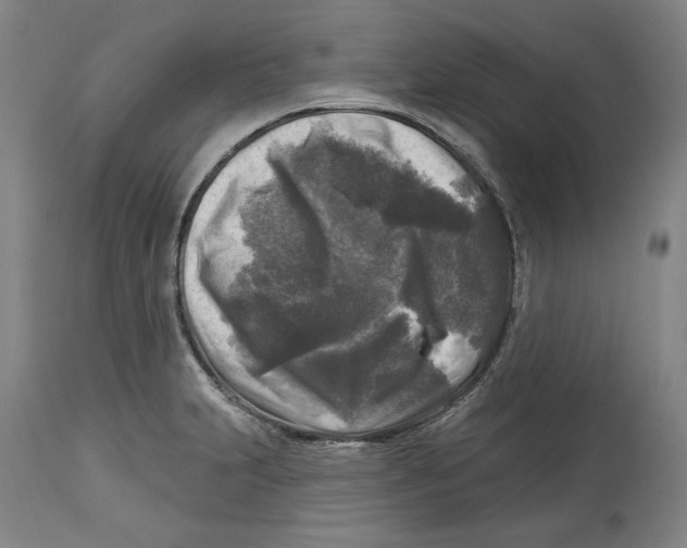 X0000114441231200911131508