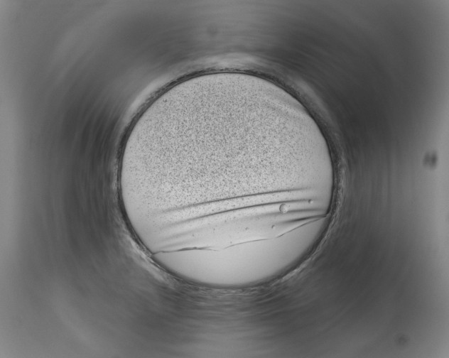 X0000114441232200911131508