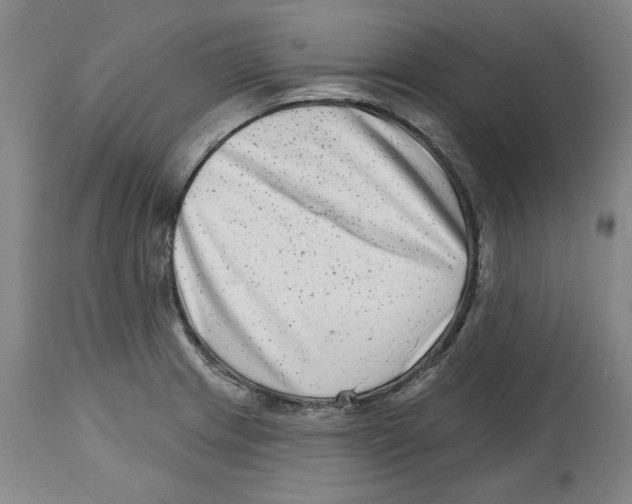 X0000114441233200911131508