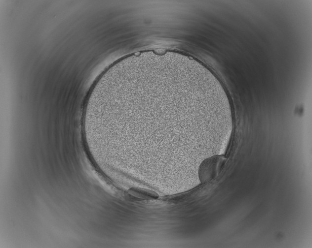 X0000114441235200911131508