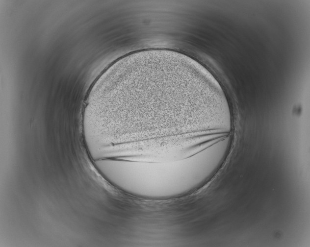 X0000114441236200911131508