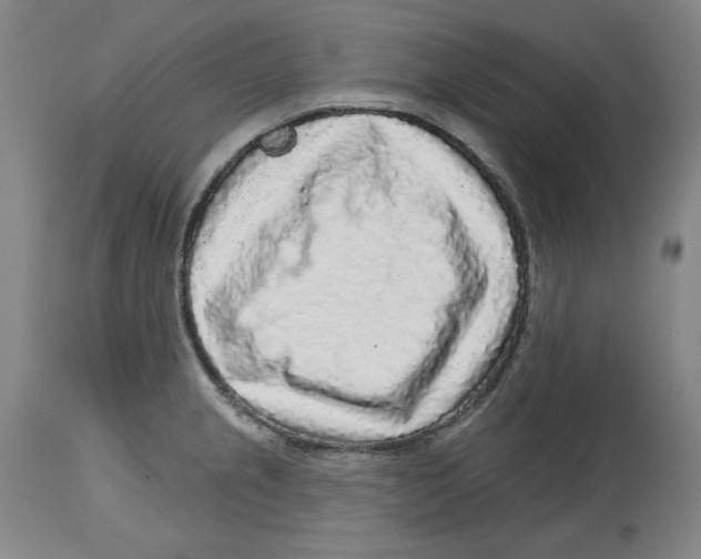 X0000114441237200911131508