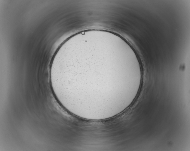 X0000114441238200911131508