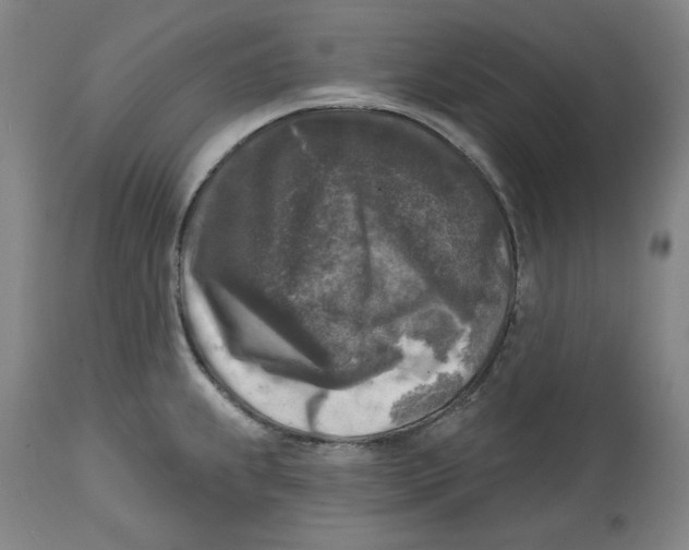 X0000114441239200911131508