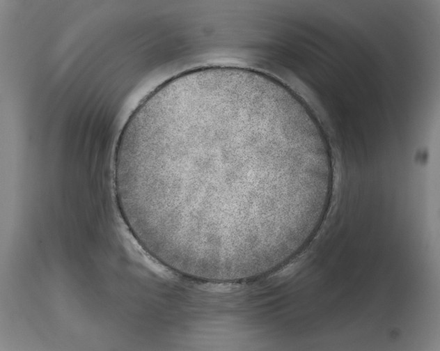 X0000114441240200911131508