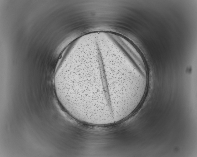 X0000114441241200911131508