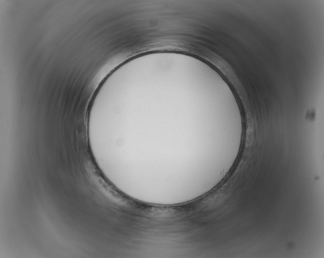 X0000114441242200911131508