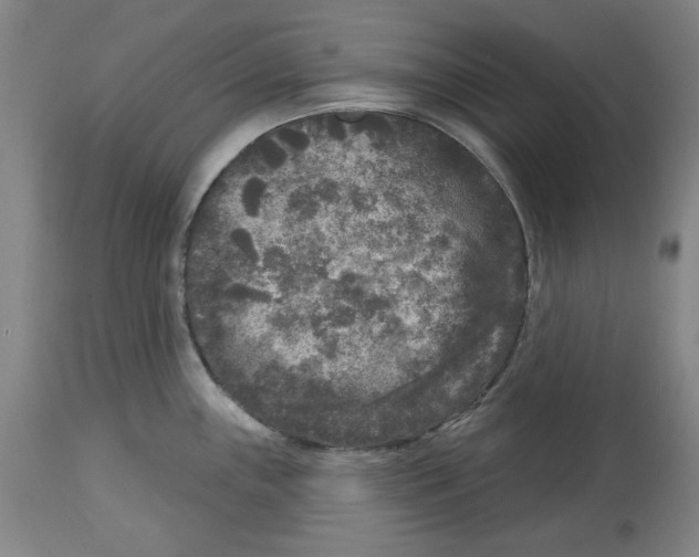 X0000114441243200911131508