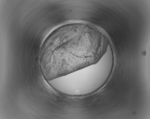 X0000114441244200911131508