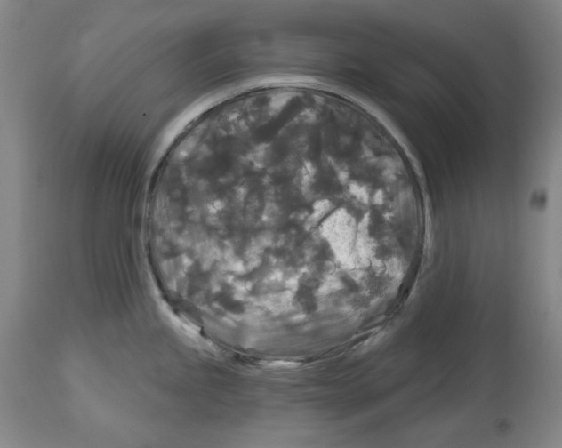 X0000114441245200911131508