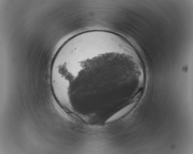 X0000114441246200911131508