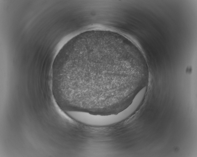 X0000114441247200911131508