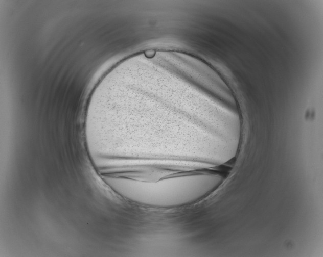 X0000114441248200911131508