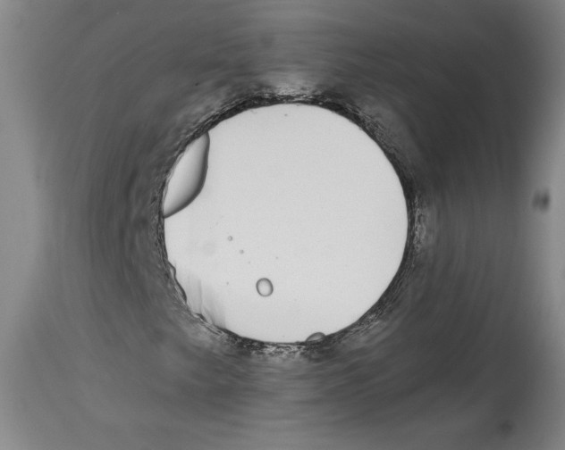 X0000114441249200911131508