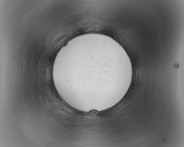 X0000114441250200911131508