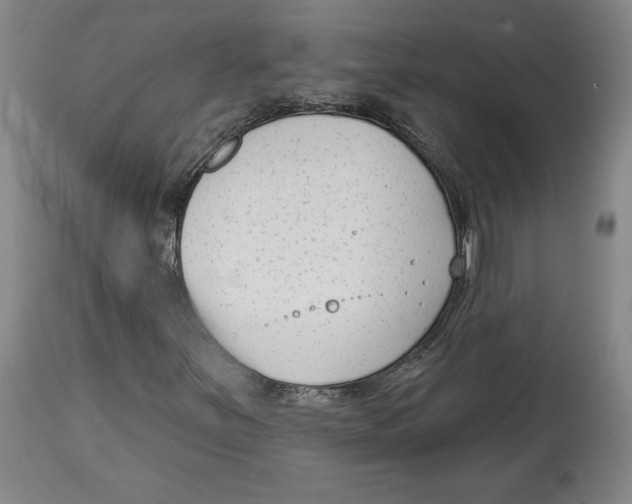 X0000114441251200911131508