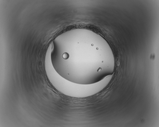 X0000114441252200911131508