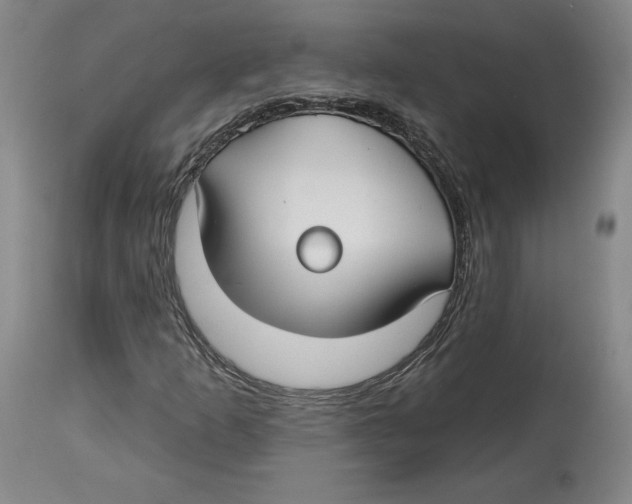 X0000114441253200911131508