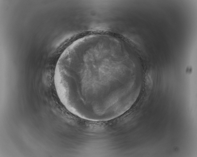 X0000114441254200911131508