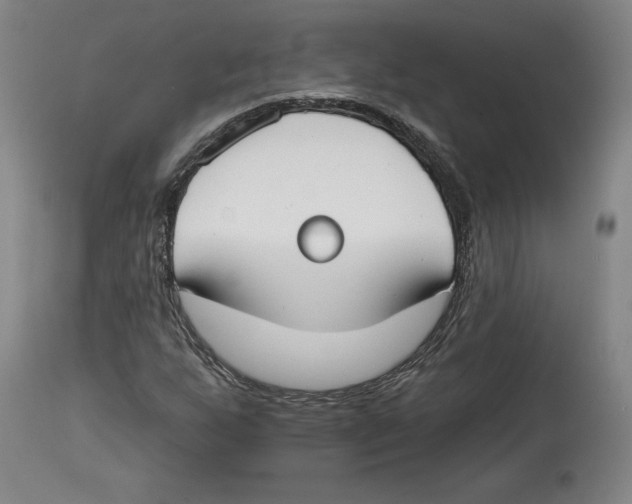 X0000114441255200911131508