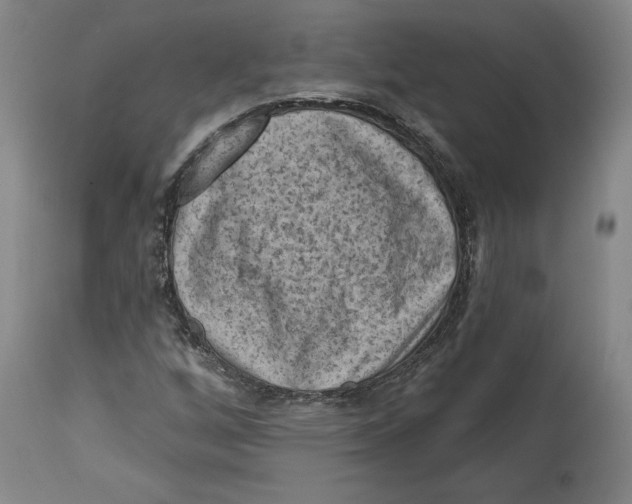 X0000114441256200911131508