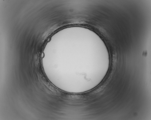 X0000114441257200911131508