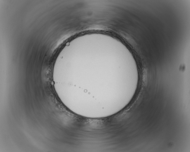 X0000114441258200911131508