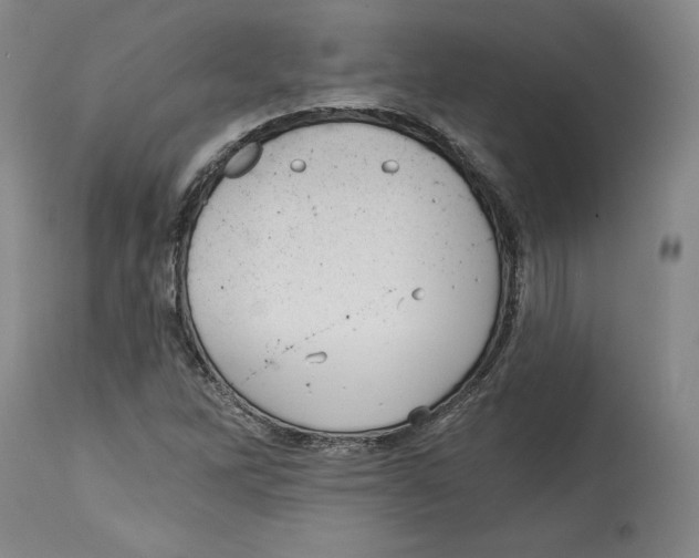 X0000114441262200911131508