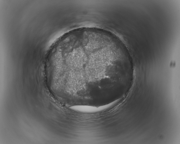 X0000114441263200911131508