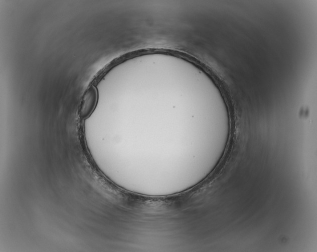 X0000114441264200911131508