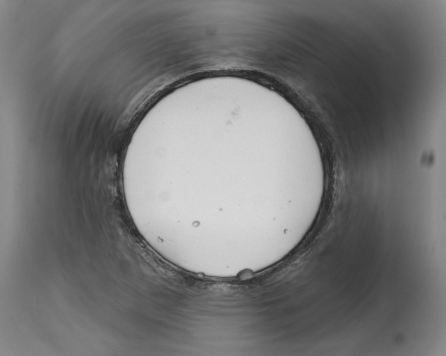 X0000114441265200911131508