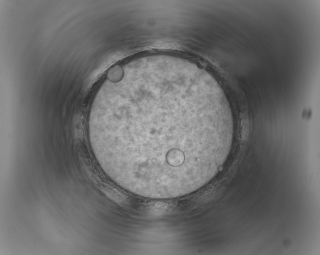 X0000114441266200911131508