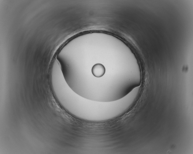 X0000114441268200911131508