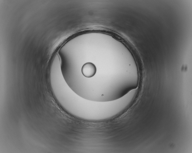 X0000114441269200911131508