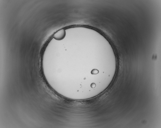 X0000114441270200911131508