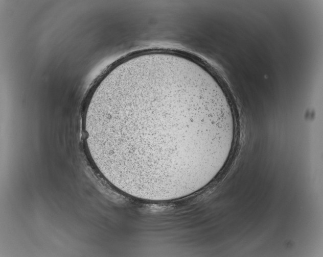 X0000114441271200911131508