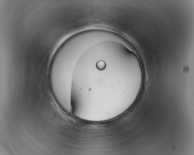 X0000114441272200911131508