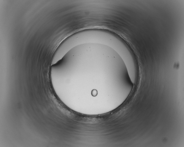 X0000114441273200911131507