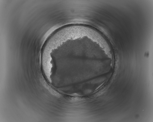 X0000114441275200911131507