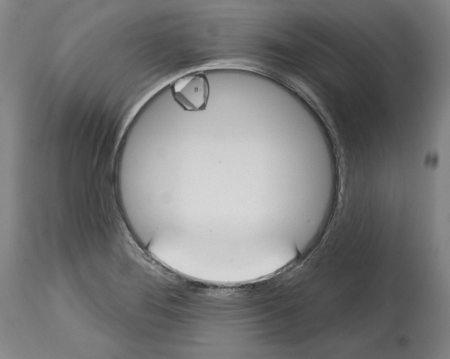 X0000114441276200911131507