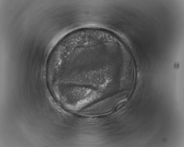 X0000114441279200911131507