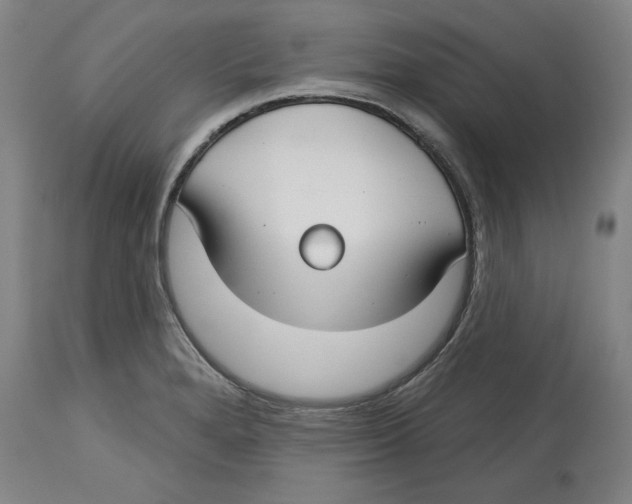 X0000114441280200911131507