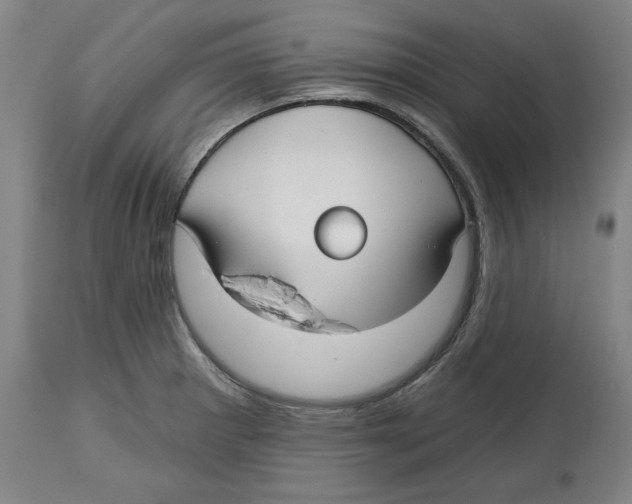 X0000114441281200911131507